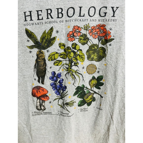Harry Potter Herbology Hogwarts Graphic T-Shirt Gray Adult Medium - Picture 2 of 4